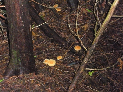 DSCN9136.JPG