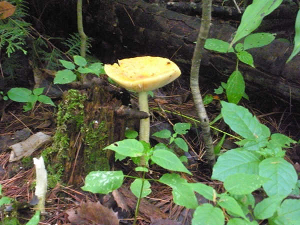DSCN9159.JPG