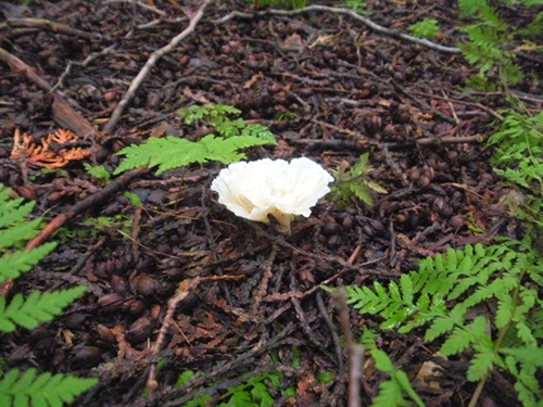 DSCN9163.JPG