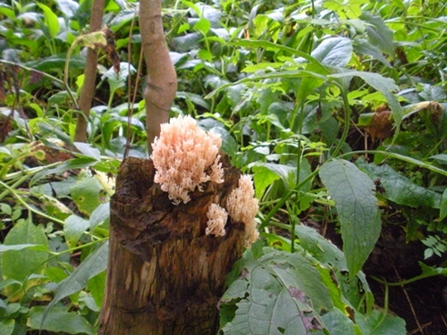 DSCN9168.JPG
