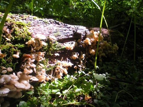 DSCN9179.JPG