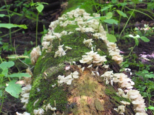 DSCN9181.JPG