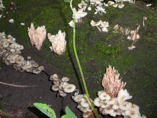 DSCN9182.JPG