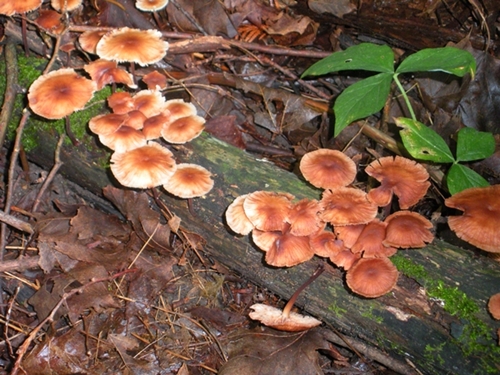 DSCN9189.JPG