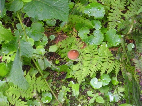 DSCN9200.JPG