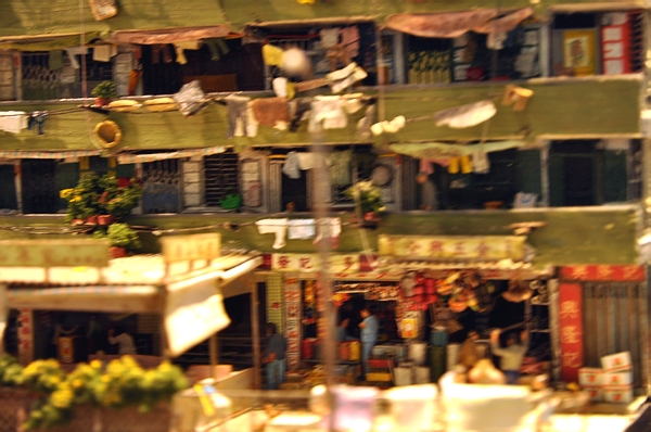 DSC_0179.JPG