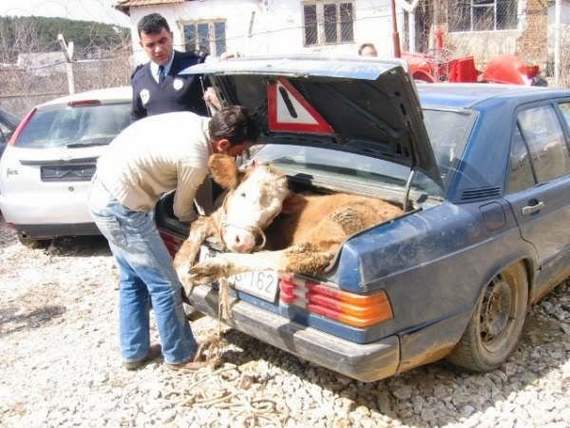 F-52 唔該缩埋D.jpg