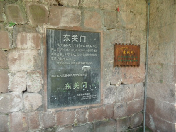 SAM_0159.JPG