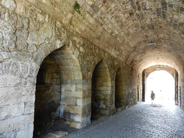 DSCN9657.JPG