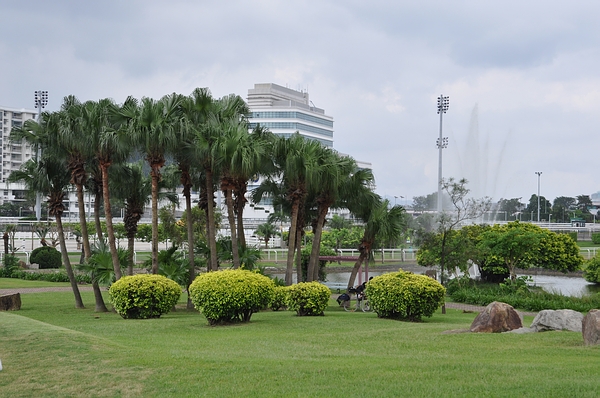DSC_0258.JPG