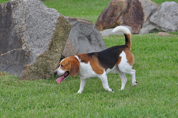 DSC_0261.JPG