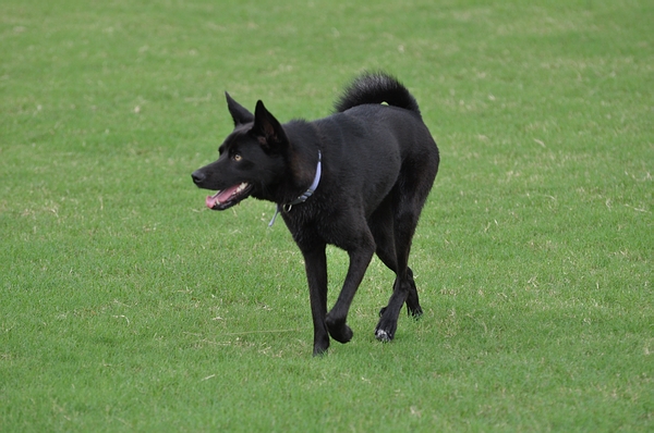 DSC_0282.JPG