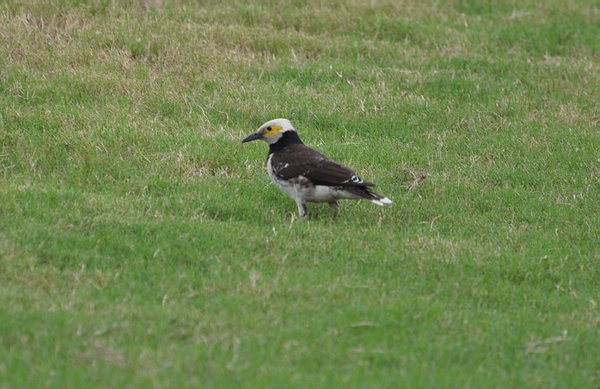 DSC_0292.JPG
