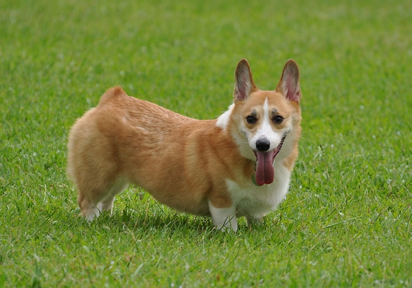 DSC_0411.JPG