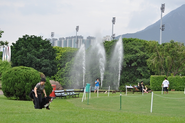 DSC_0415.JPG