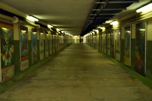 DSC_0474.JPG