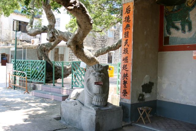 DPP_1108.JPG