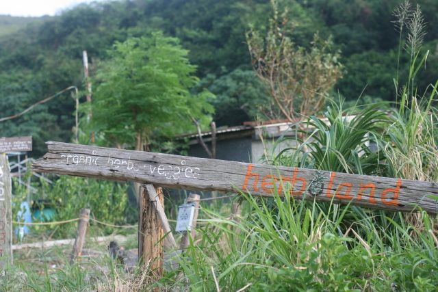 DPP_1098.JPG