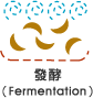 3.發酵(Fermentation).gif