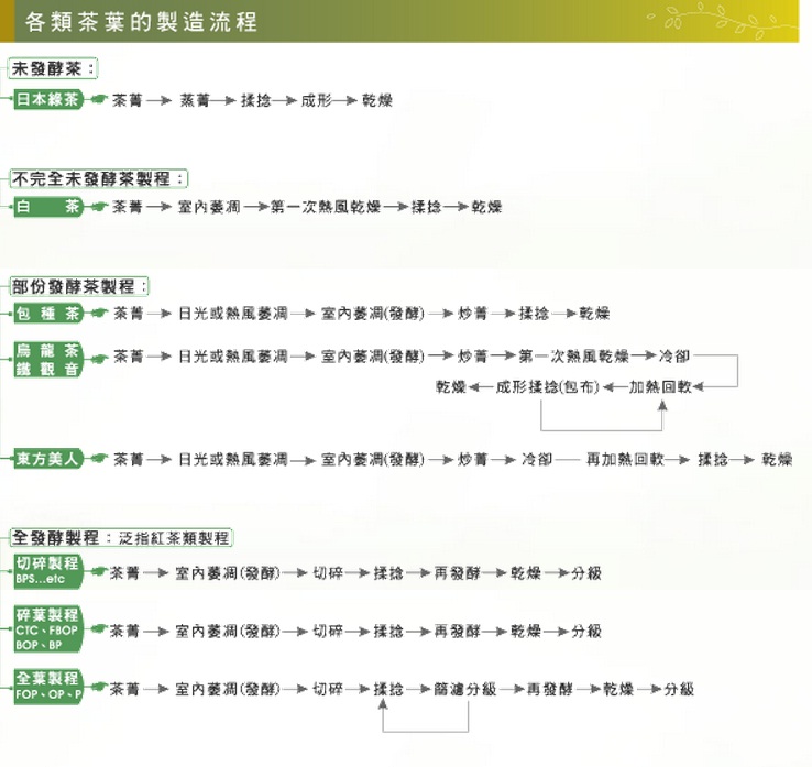 茶葉製造流程圖.jpg