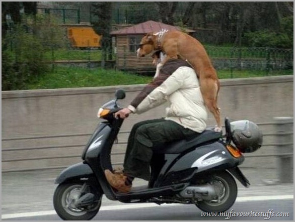 F-118 攬實D啦.jpg