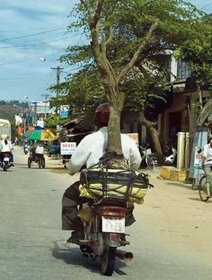 F-120 樹木辦好想揾你幫手.jpg