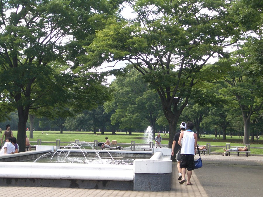 IMGP1893.JPG