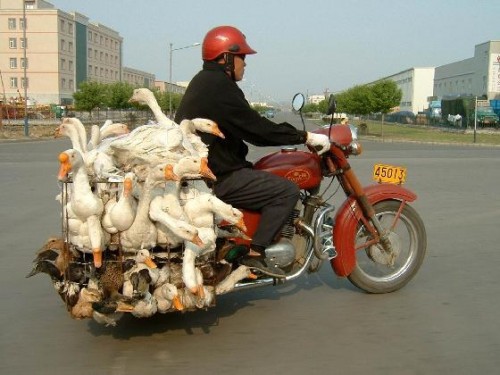 F-124 喂! 唔好逼呀.jpg