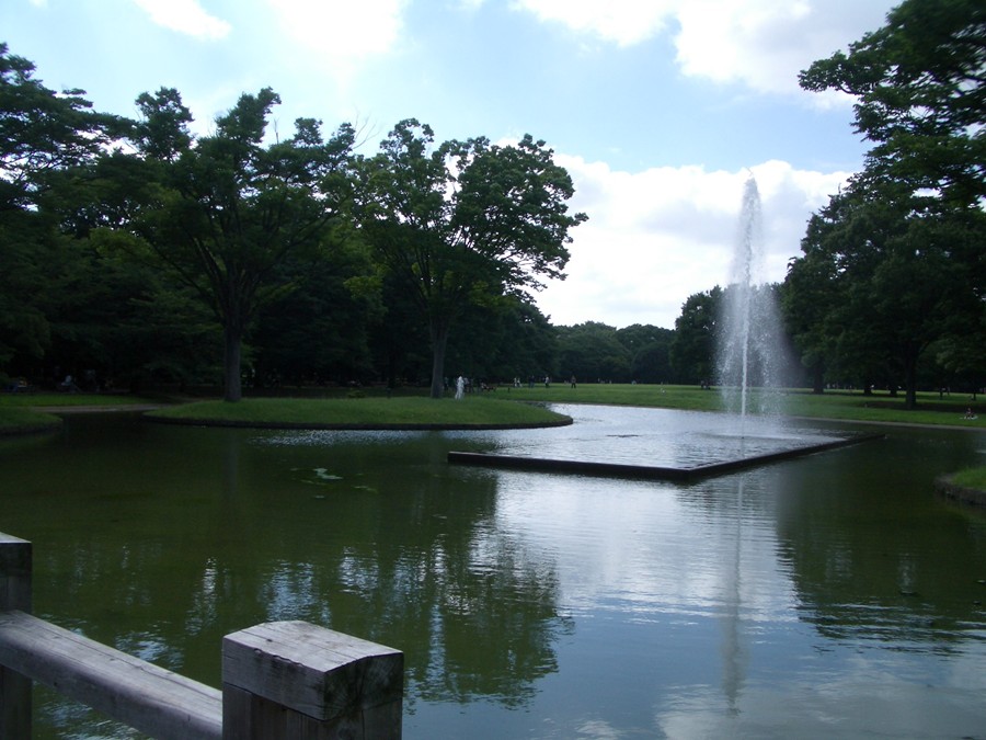 IMGP1894.JPG