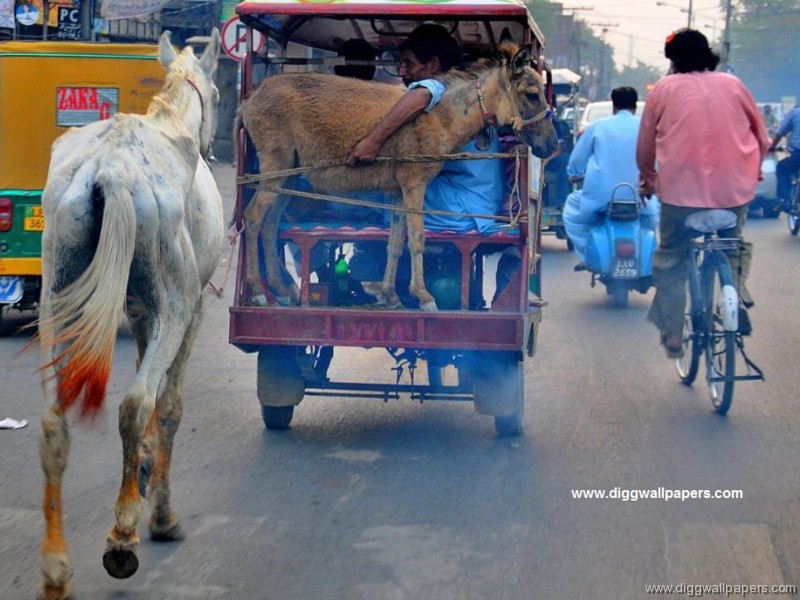 F-131 你就好啦, 有車搭.jpg