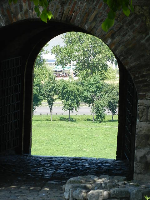 DSCN9681.JPG