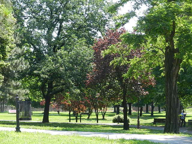DSCN9679.JPG