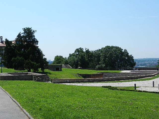 DSCN9685.JPG