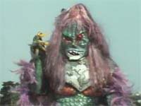 20 沙拿曼多拉.jpg