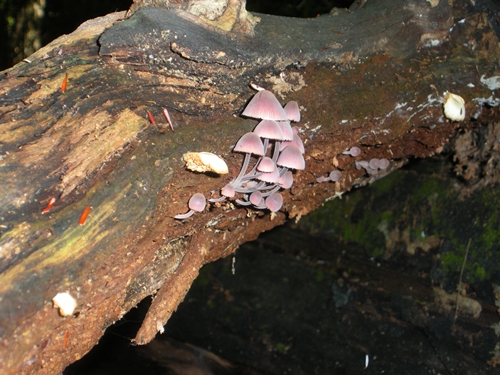 DSCN9276.JPG