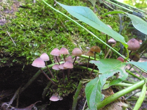 DSCN9278.JPG