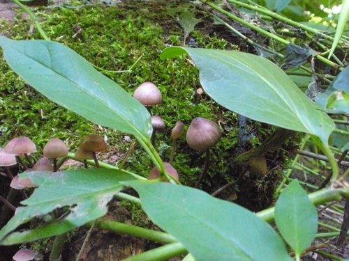 DSCN9279.JPG