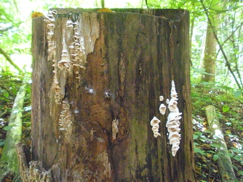 DSCN9280.JPG