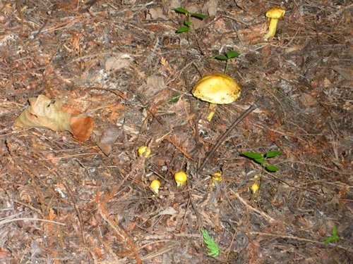 DSCN9286.JPG