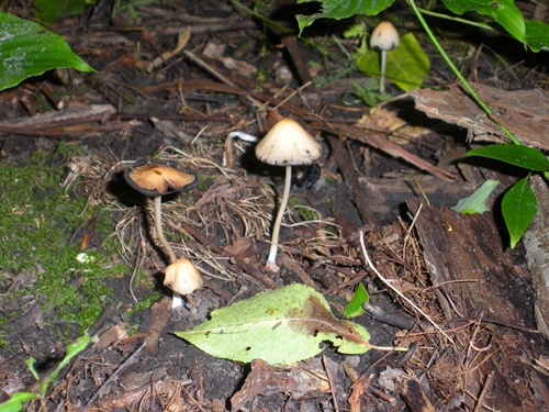 DSCN9291.JPG
