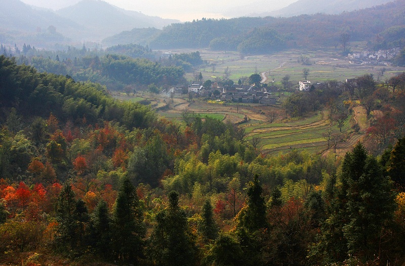 660621770341247425 (1).jpg