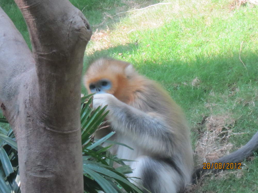 IMG_4448_調整大小.JPG
