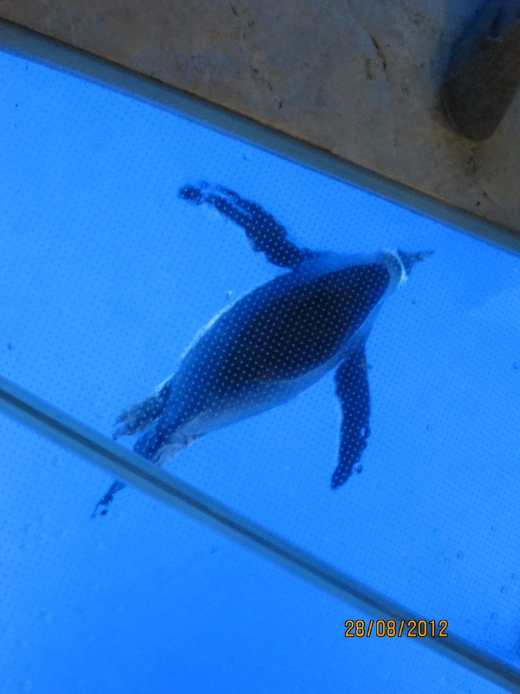IMG_4470_調整大小.JPG