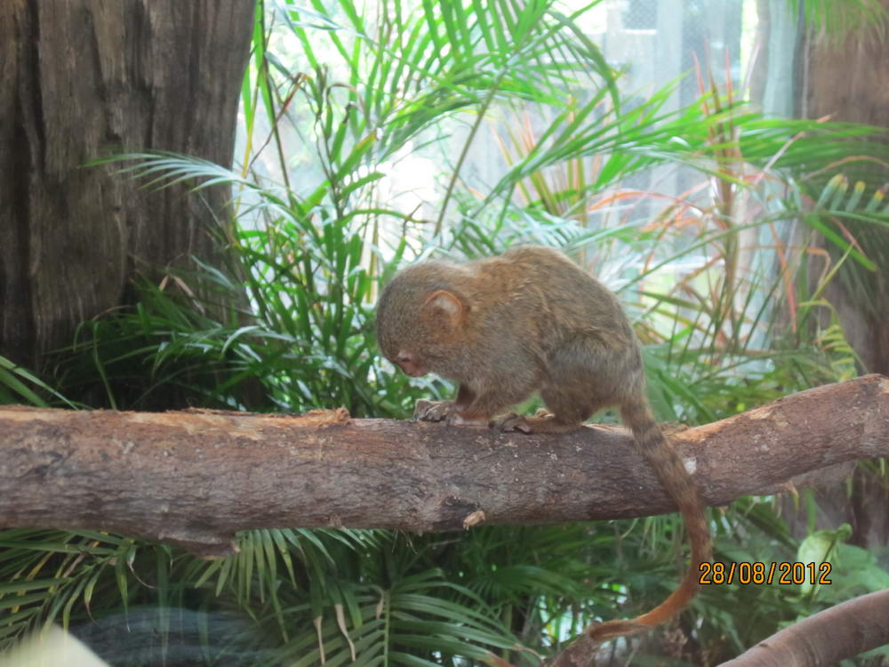 IMG_4532_調整大小.JPG