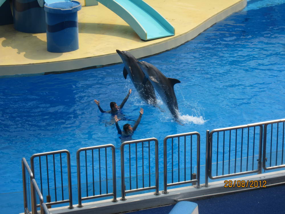 IMG_4561_調整大小.JPG