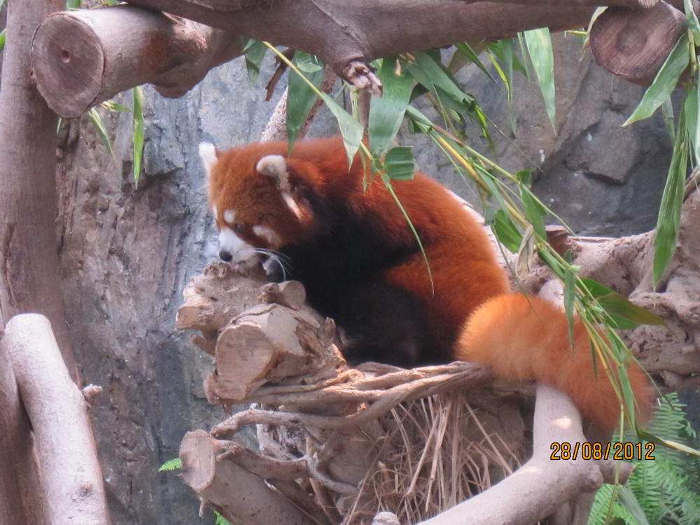 IMG_4589_調整大小.JPG