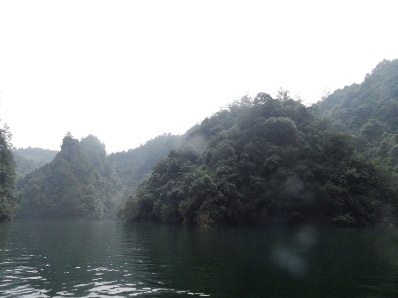 SAM_0385.JPG