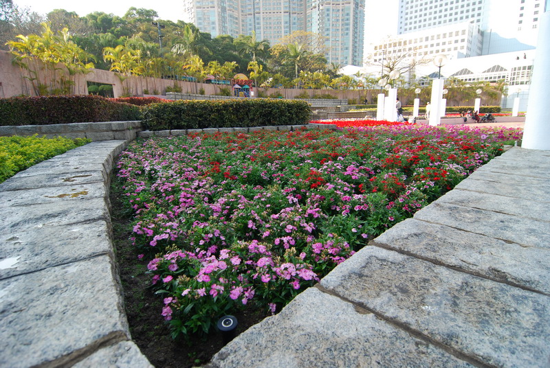 DSC_5899.jpg