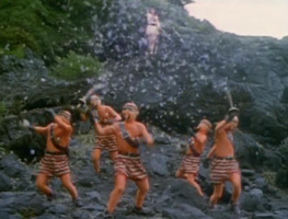 2 花散的碎爪.jpg