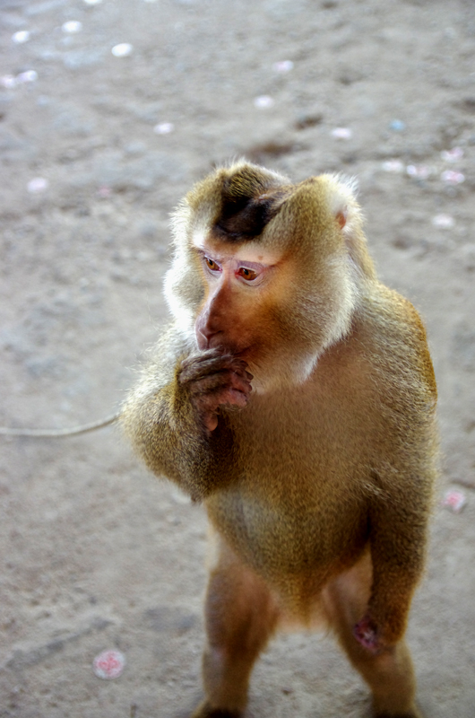IMGP2221.JPG
